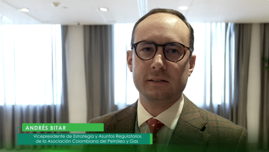 Imagen de primer plano de Andrés Bitar